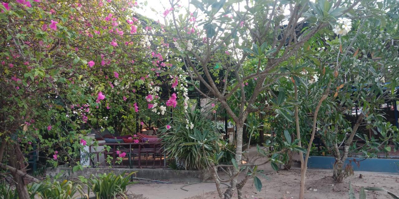 Banyan Tree Hostel كامبوت المظهر الخارجي الصورة