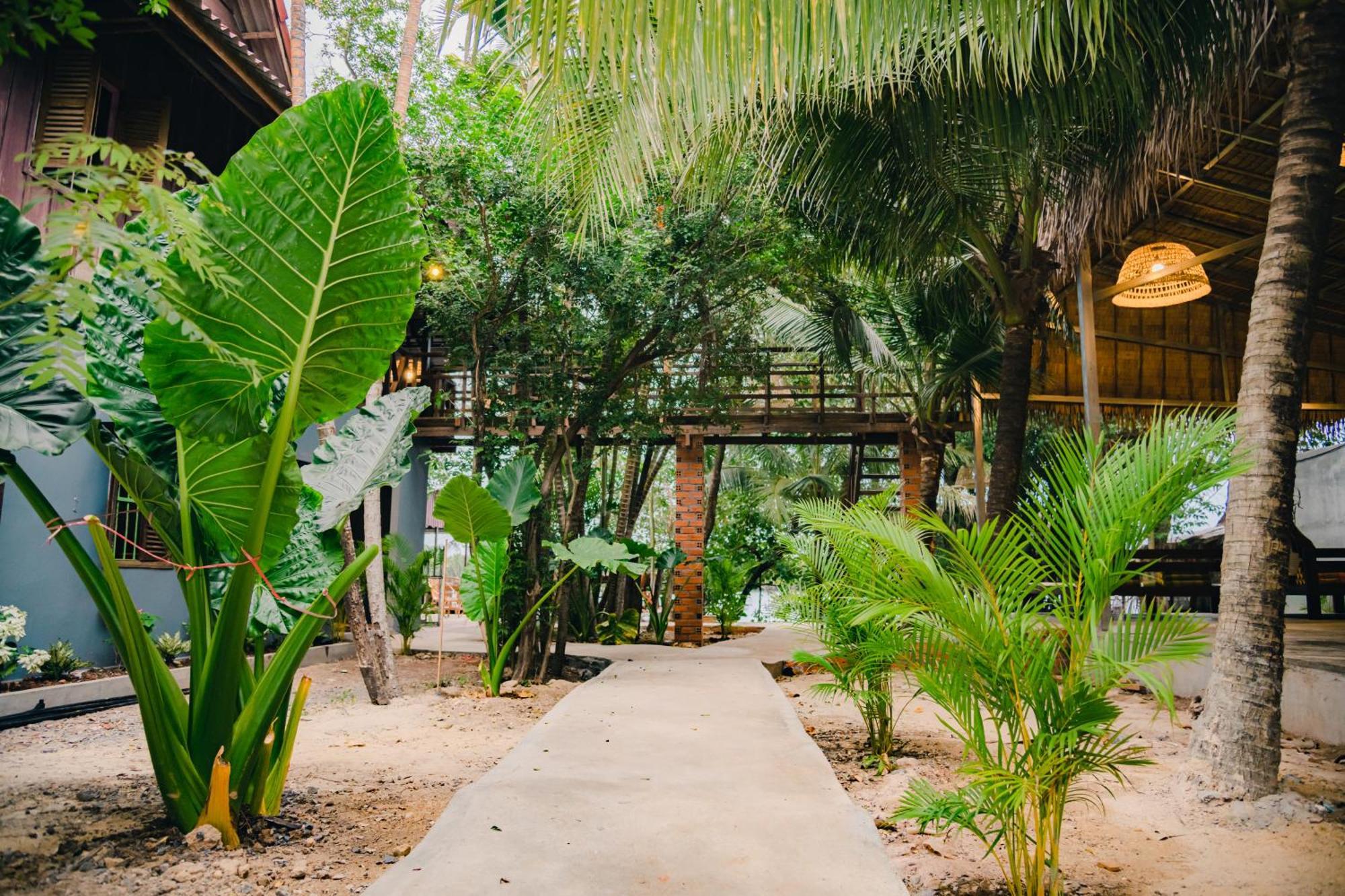 Banyan Tree Hostel كامبوت المظهر الخارجي الصورة