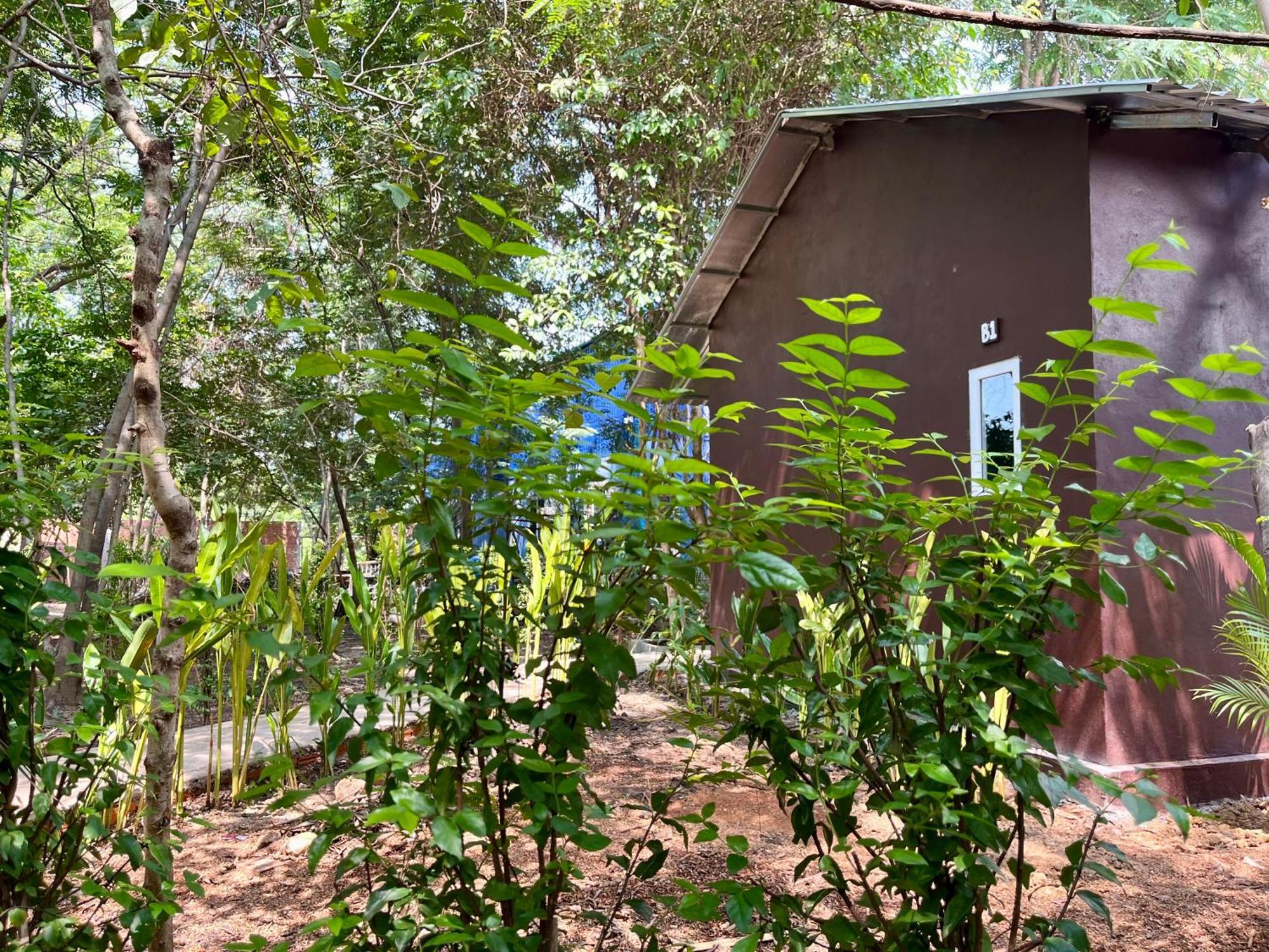 Banyan Tree Hostel كامبوت المظهر الخارجي الصورة